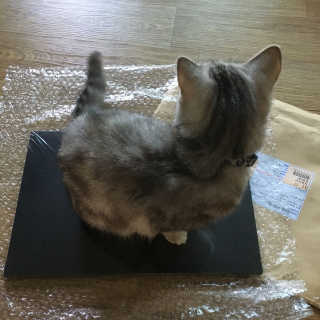 유유님이 올린 리뷰 사진 2