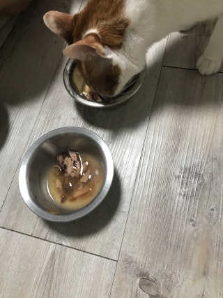 라가온유님이 올린 리뷰 사진 4