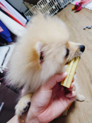 으콩님이 올린 리뷰 사진 4