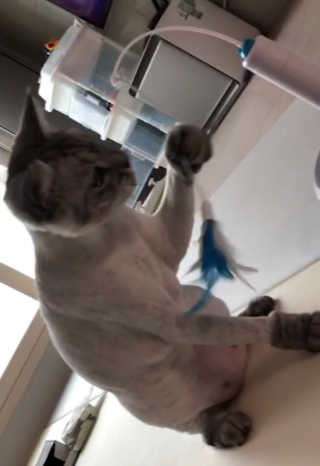 라뷰뿅님이 올린 리뷰 사진 2