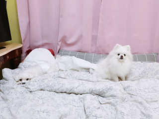 황선아님이 올린 리뷰 사진 3