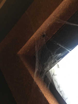 경님이 올린 리뷰 사진 1