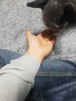 꼰똘잉님이 올린 리뷰 사진 3