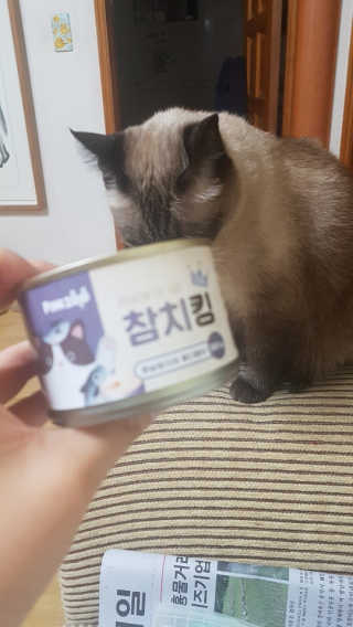 최혜정님이 올린 리뷰 사진 1
