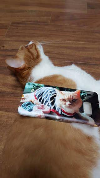 달님님이 올린 리뷰 사진 2