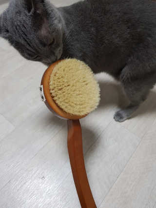 클린로엘님이 올린 리뷰 사진 1