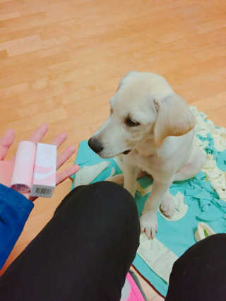 JawSung님이 올린 리뷰 사진 3