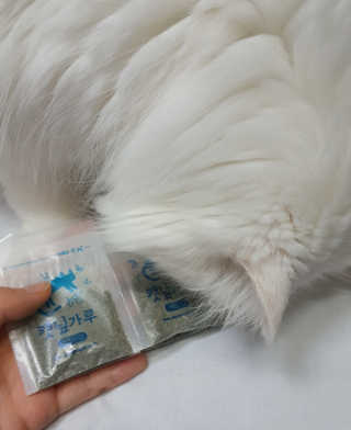 miyoooo님이 올린 리뷰 사진 2