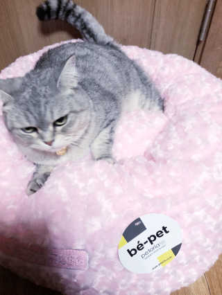 jinvely님이 올린 리뷰 사진 2