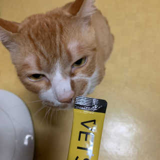 지나조이님이 올린 리뷰 사진 2