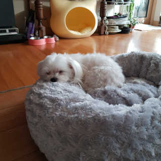이수진님이 올린 리뷰 사진 3