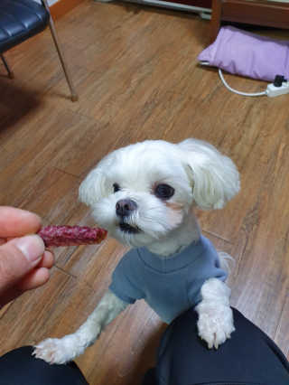 콩지님이 올린 리뷰 사진 3