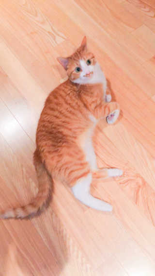 까룡이님이 올린 리뷰 사진 1