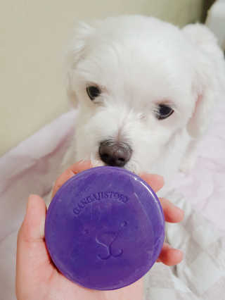 Underwater님이 올린 리뷰 사진 3
