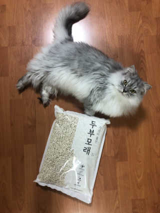 tomo님이 올린 리뷰 사진 1