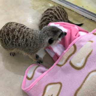 블랙바닐라님이 올린 리뷰 사진 4