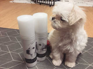 WoonyLee님이 올린 리뷰 사진 1
