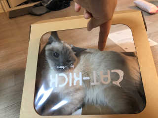 mia1205님이 올린 리뷰 사진 2