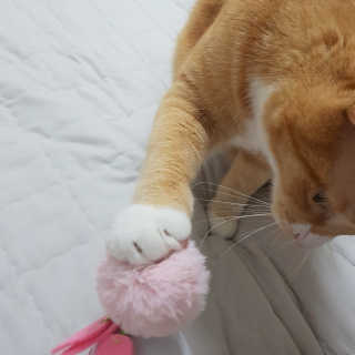 마이님이 올린 리뷰 사진 2