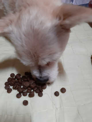 moomoon님이 올린 리뷰 사진 2