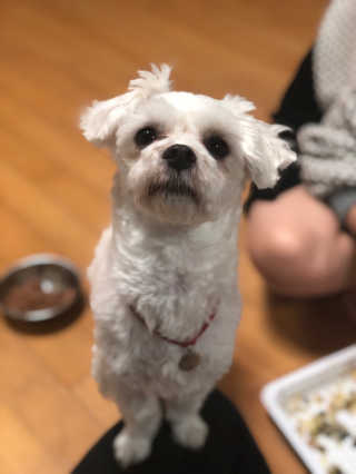 수희공주님님이 올린 리뷰 사진 2