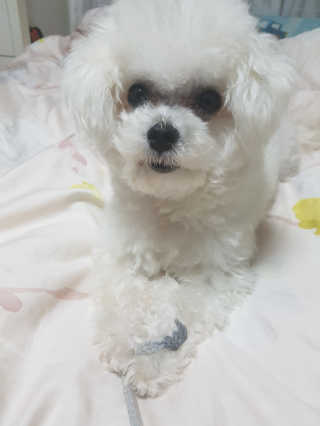 박혜님이 올린 리뷰 사진 2