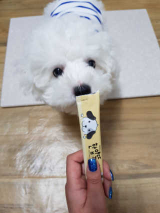 [펫토리아]짜먹는 한입뚝딱 강아지.고양이 마약간식 — 5점을 준 리뷰어가 2019년 8월 올린 사용 사진