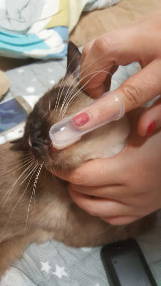 dukbaby님이 올린 리뷰 사진 2