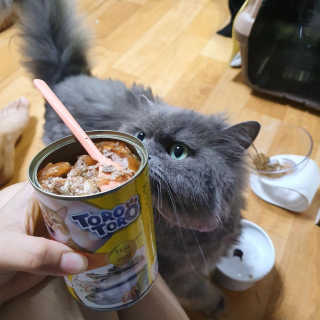 mynamemonday님이 올린 리뷰 사진 1