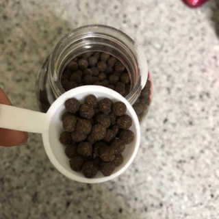 KellyChoi님이 올린 리뷰 사진 1