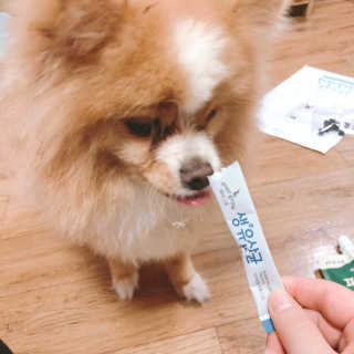 [빙그레] 에버그로 생유산균 1봉（10포입）+펫밀크2팩 — 5점을 준 리뷰어가 2019년 5월 올린 사용 사진