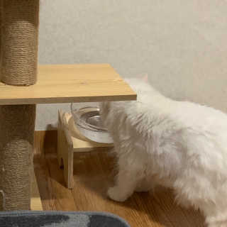 례진님이 올린 리뷰 사진 3