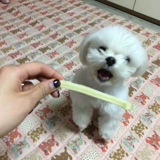 eunjiiiiii님이 올린 리뷰 사진 3