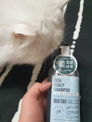 Woo7C님이 올린 리뷰 사진 1