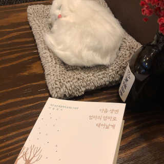 쏘뜬님이 올린 리뷰 사진 1