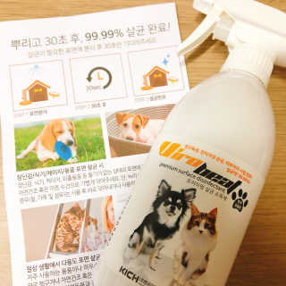 두부콩님이 올린 리뷰 사진 1