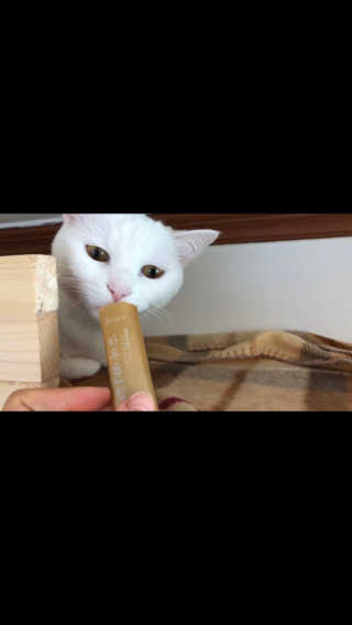 오홍그님이 올린 리뷰 사진 1