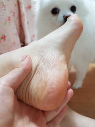 짱아짱아님이 올린 리뷰 사진 2