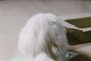 onvit님이 올린 리뷰 사진 4