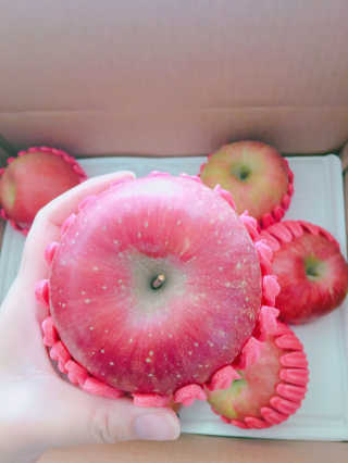 yumihyun20님이 올린 리뷰 사진 1