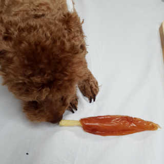 그녀의시선님이 올린 리뷰 사진 4