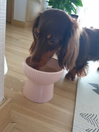 태태님님이 올린 리뷰 사진 2