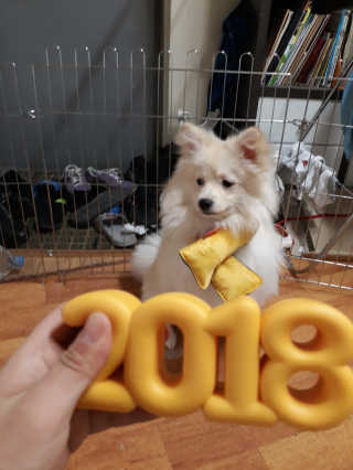 김도연님이 올린 리뷰 사진 1