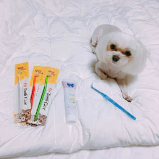 콩순이엄마님이 올린 리뷰 사진 3