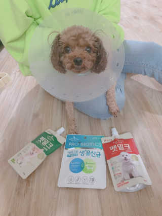 [빙그레] 에버그로 생유산균 1봉（10포입）+펫밀크2팩 — 3.5점을 준 리뷰어가 2019년 5월 올린 사용 사진