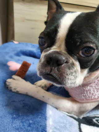 삼꽃단하나님이 올린 리뷰 사진 3