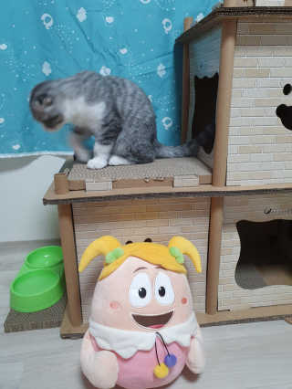 효성님이 올린 리뷰 사진 2