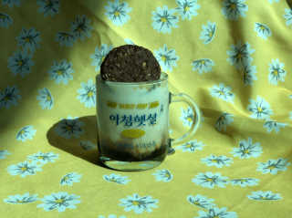 짬뽕순대국밥님이 올린 리뷰 사진 1