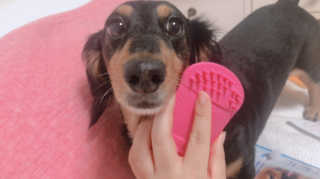 chakan님이 올린 리뷰 사진 3