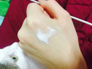 키튼님이 올린 리뷰 사진 2